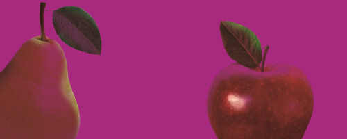 Goede oogst appels en peren verwacht in Nederland