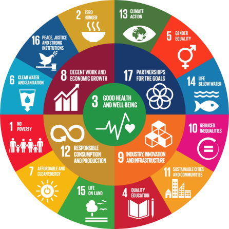 Sustainable Development Goals van de Verenigde Naties